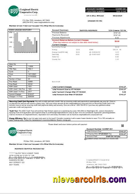 USA Craighead Electric business utility bill